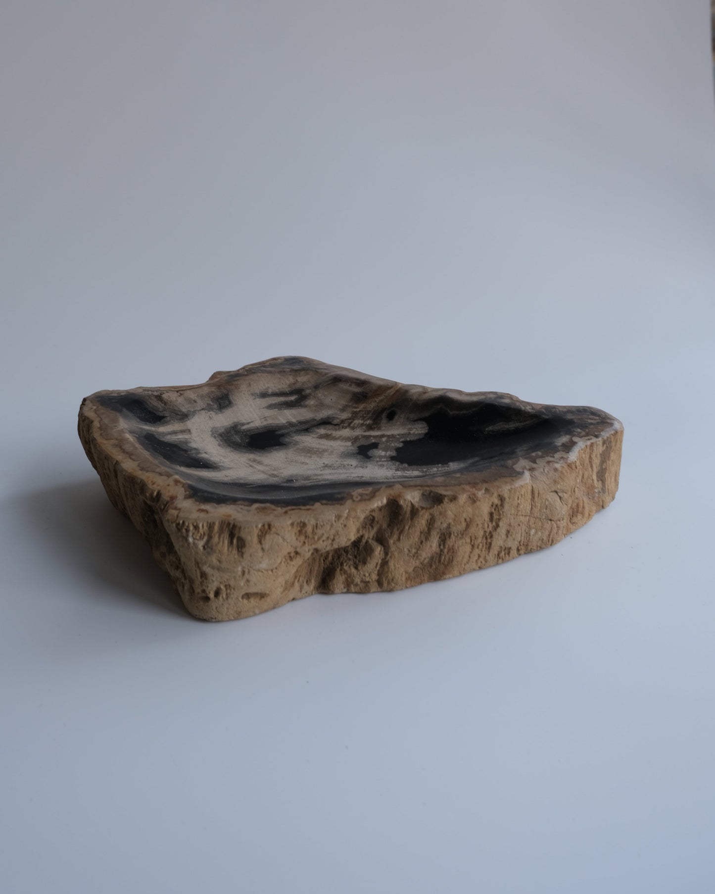 Accessory Tray #236