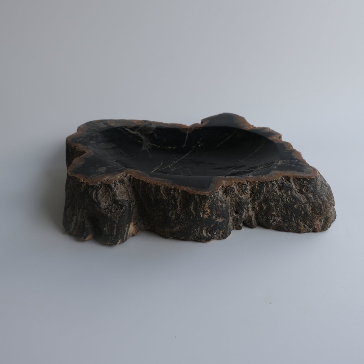 Accessory Tray #203