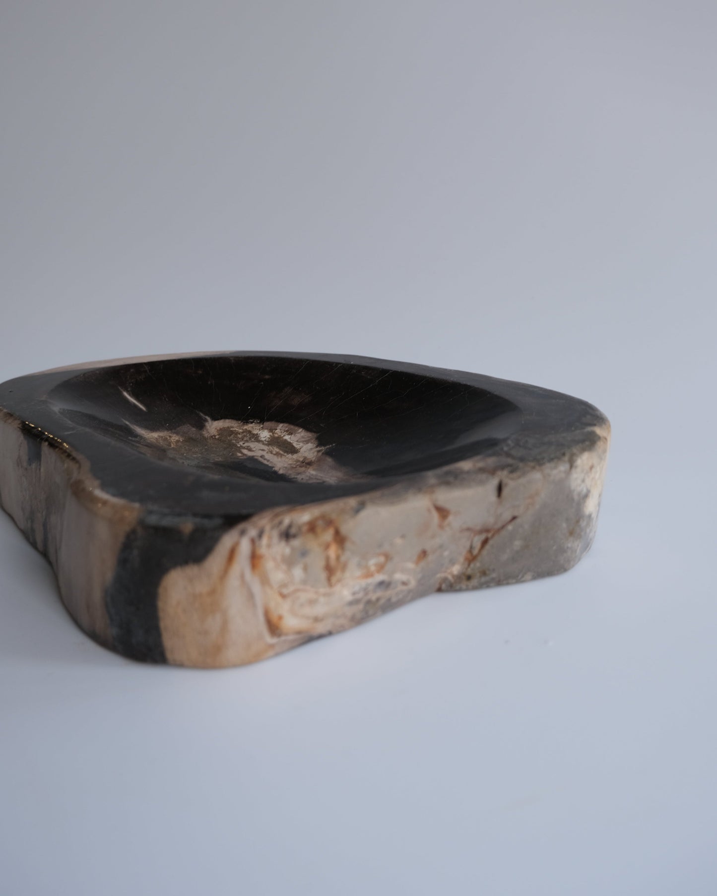 Accessory Tray #235