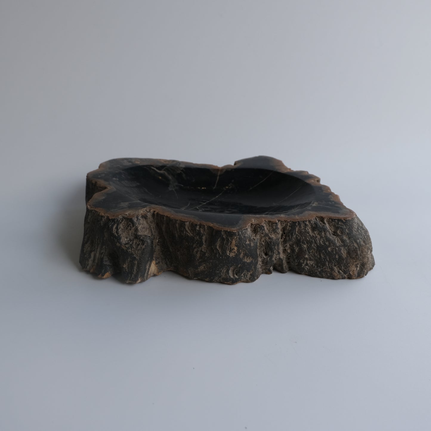 Accessory Tray #203