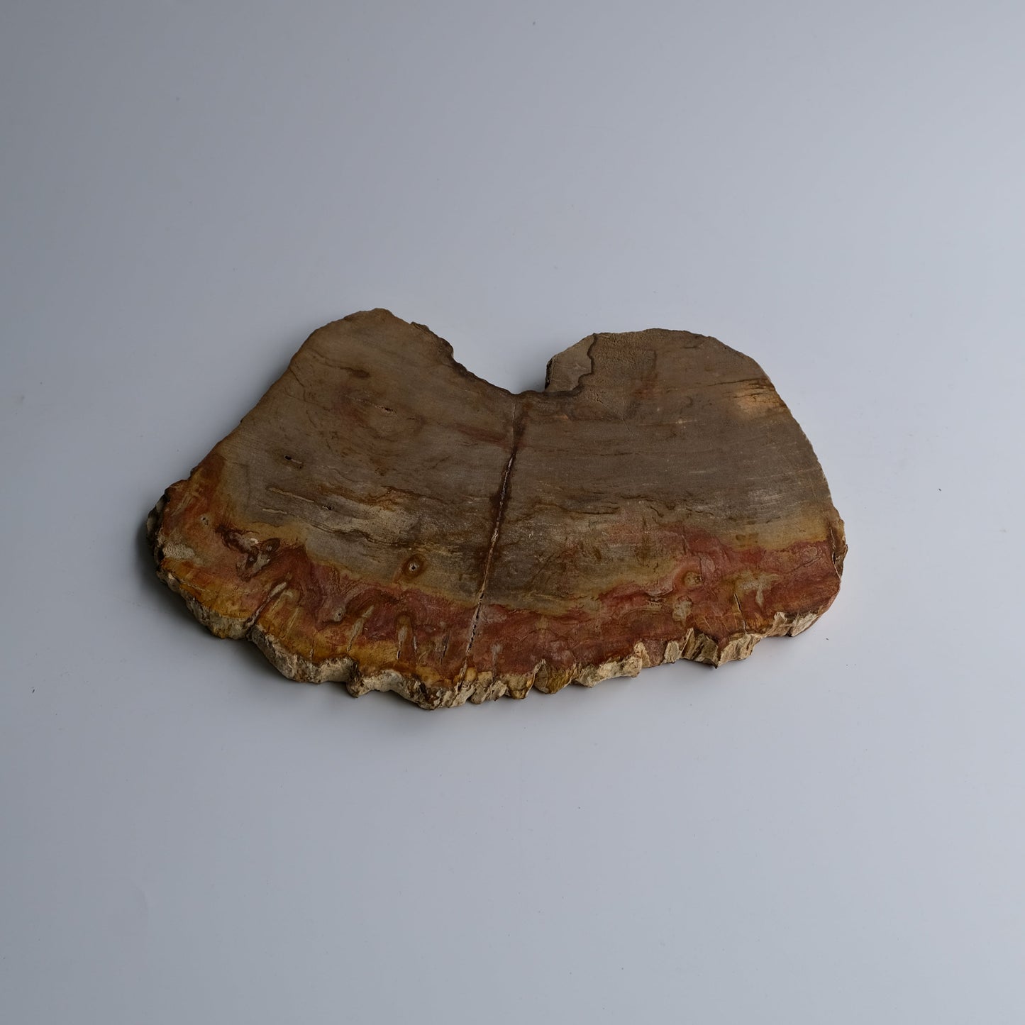 Wood Plate #002