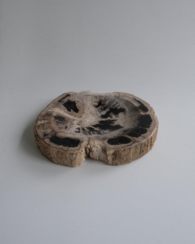 Accessory Tray #216