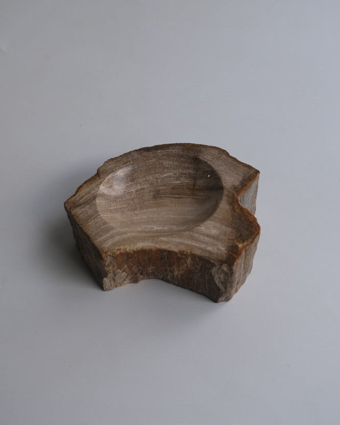 Accessory Tray #021