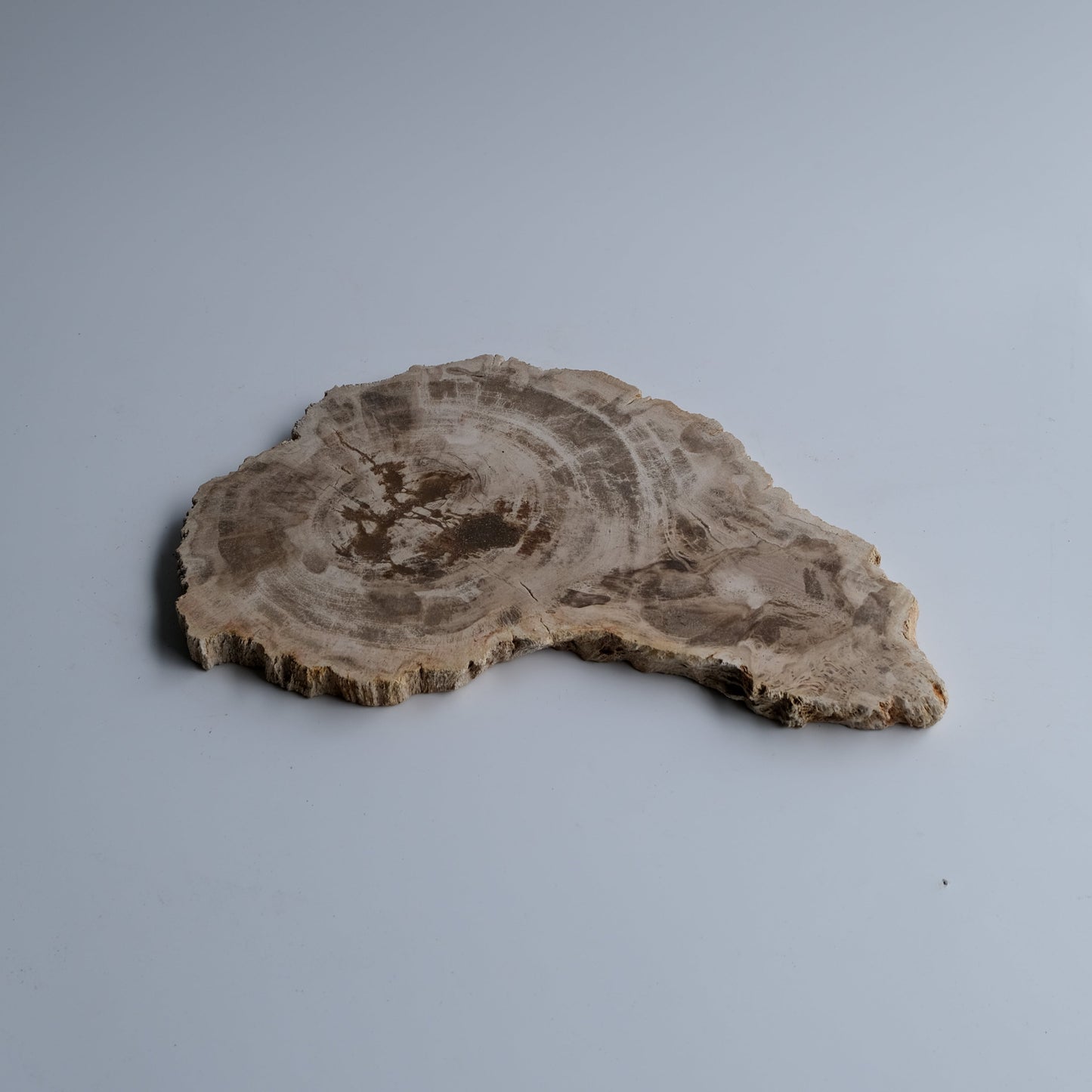 Wood Plate #030