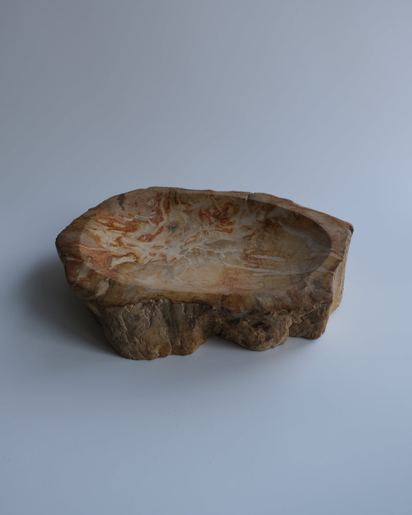 Accessory Tray #239