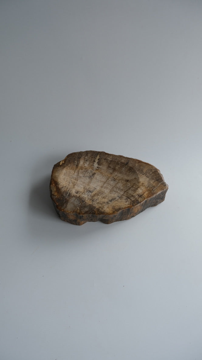 Accessory Tray #161