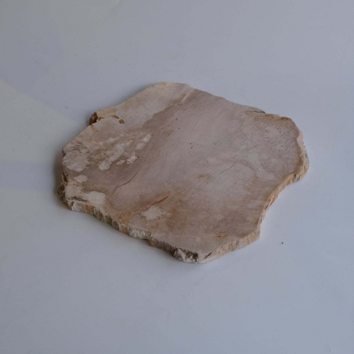 Wood Plate #015