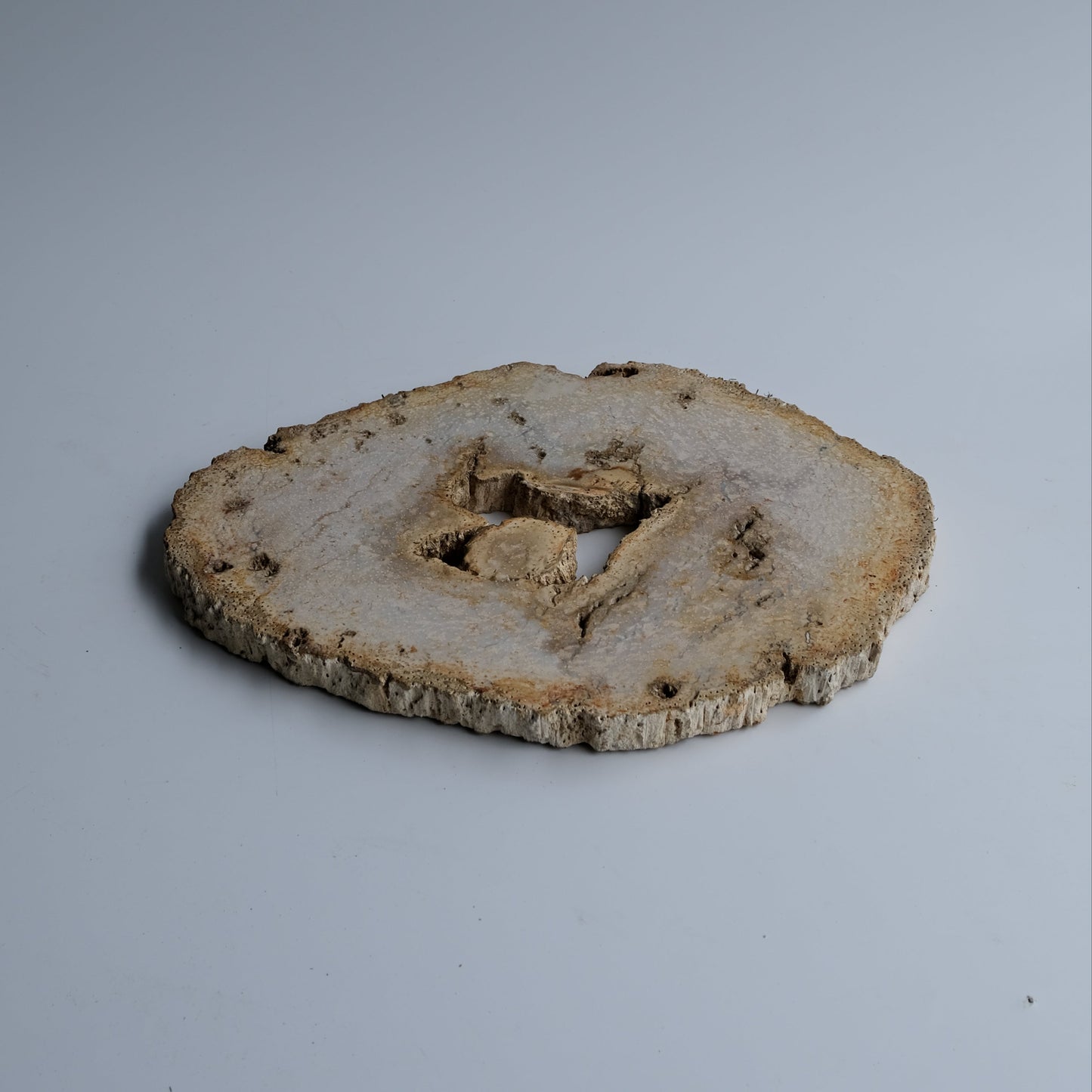 Wood Plate #027