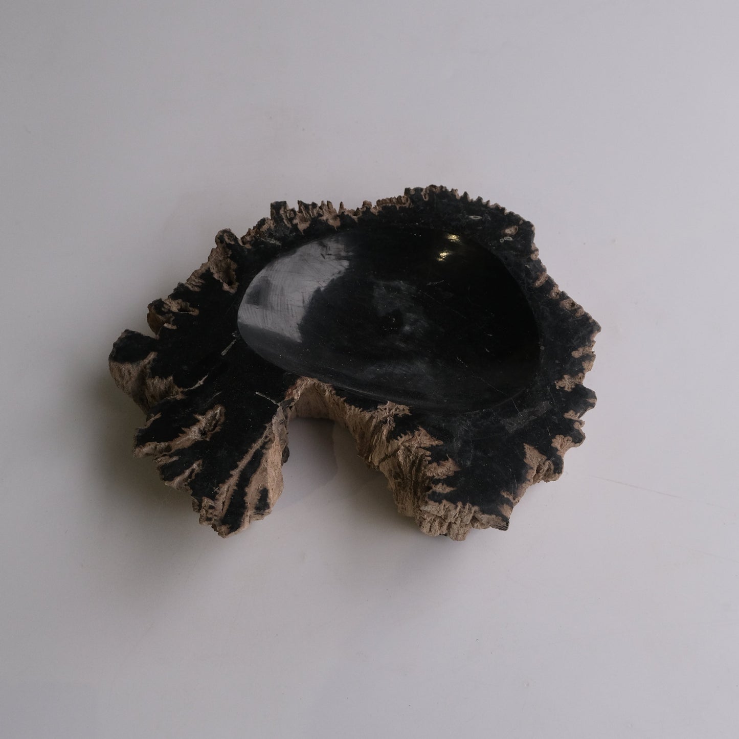 Accessory Tray #117