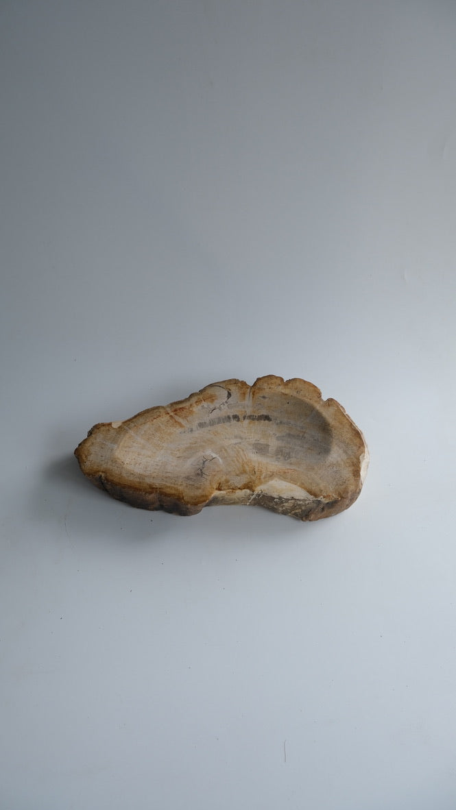 Accessory Tray #178