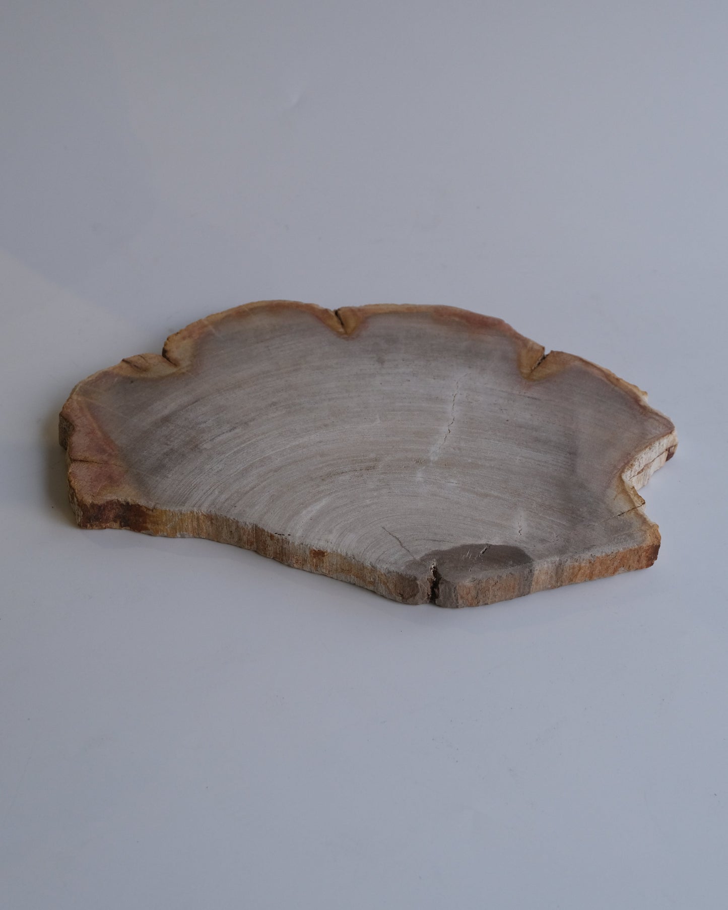 Wood Plate #010