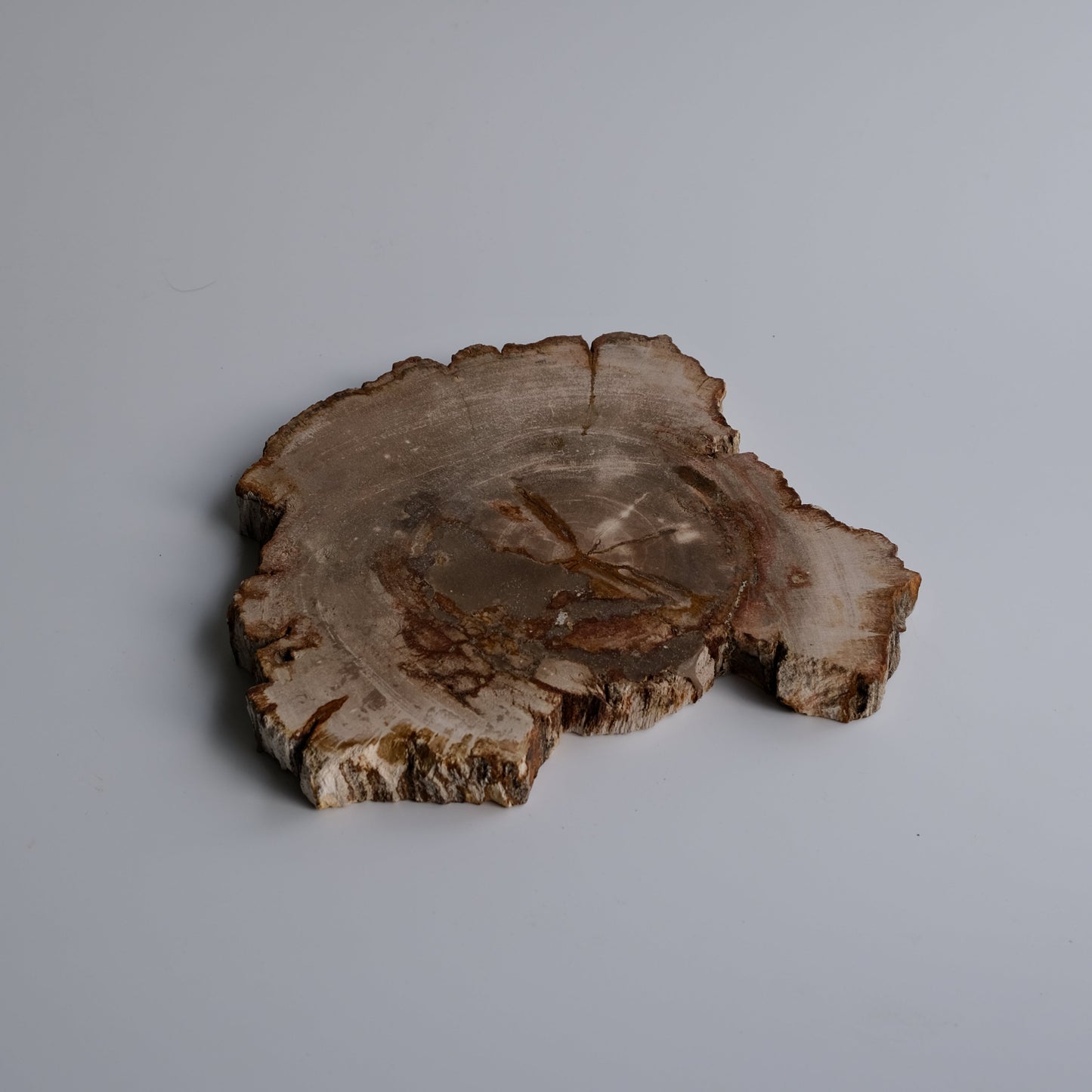 Wood Plate #011