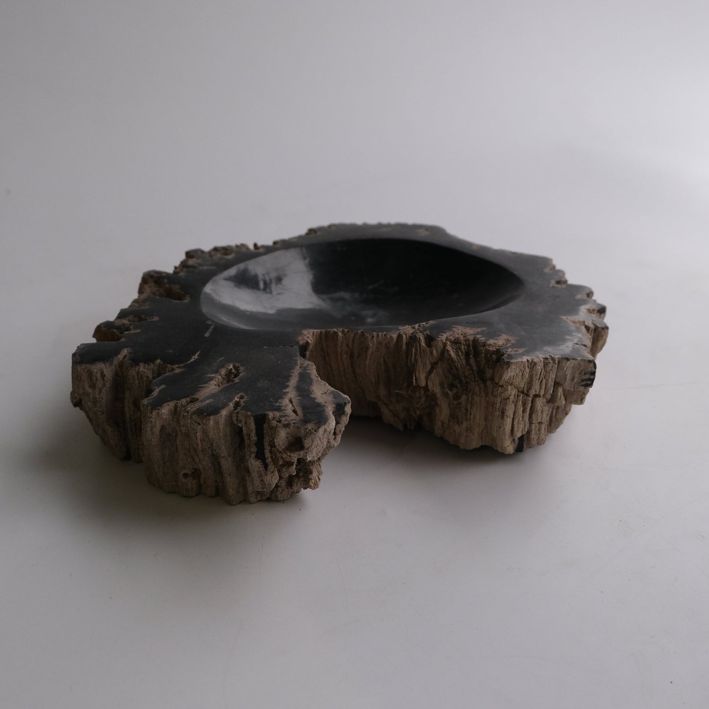 Accessory Tray #117