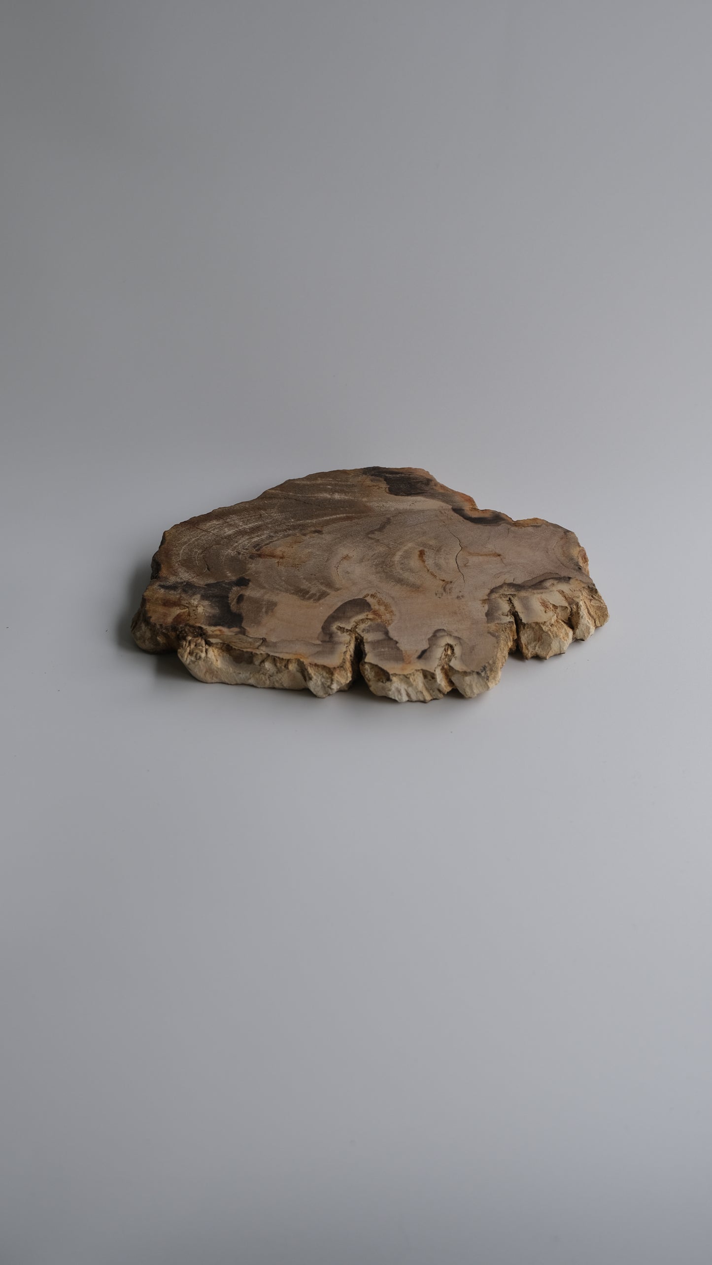 Wood Plate Small #010