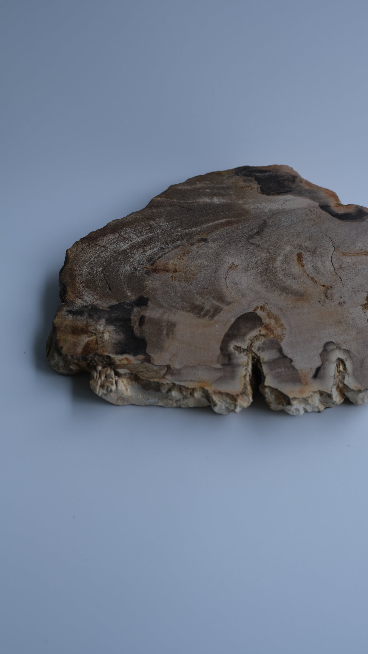 Wood Plate Small #010