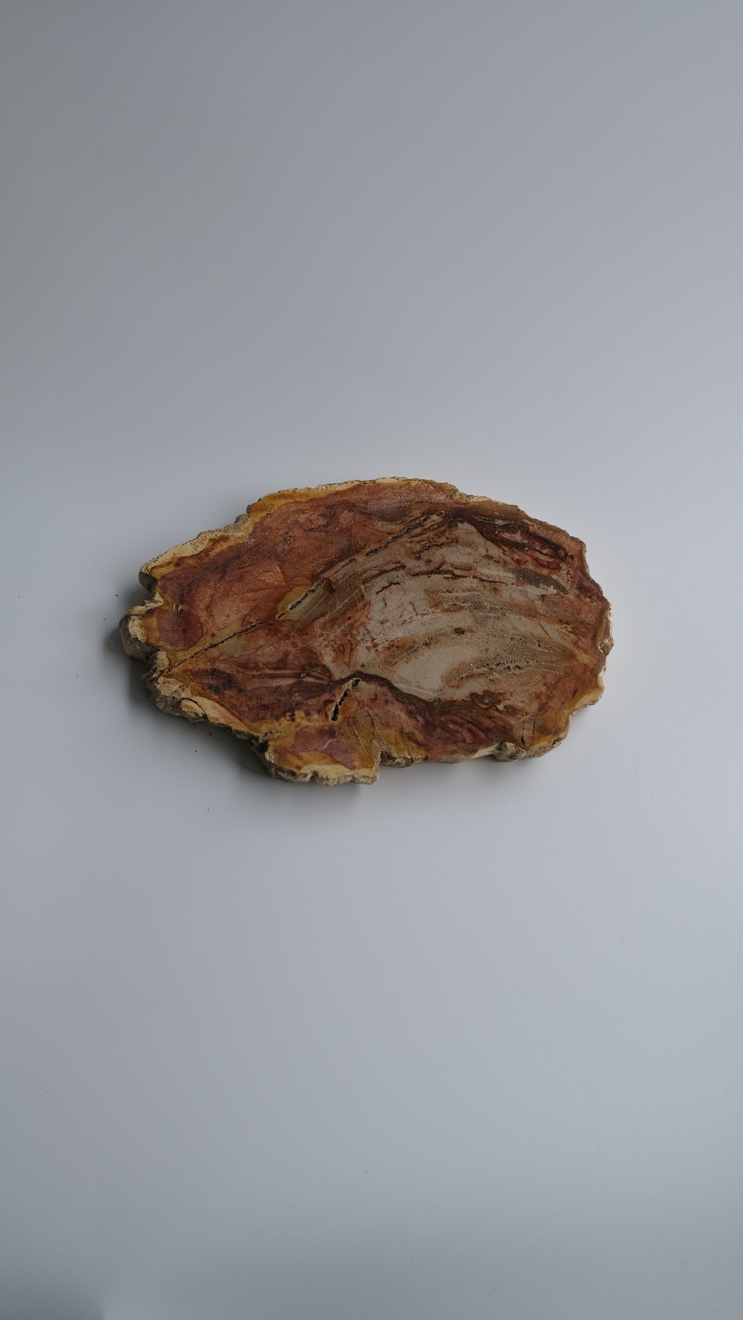 Wood Plate Small #011