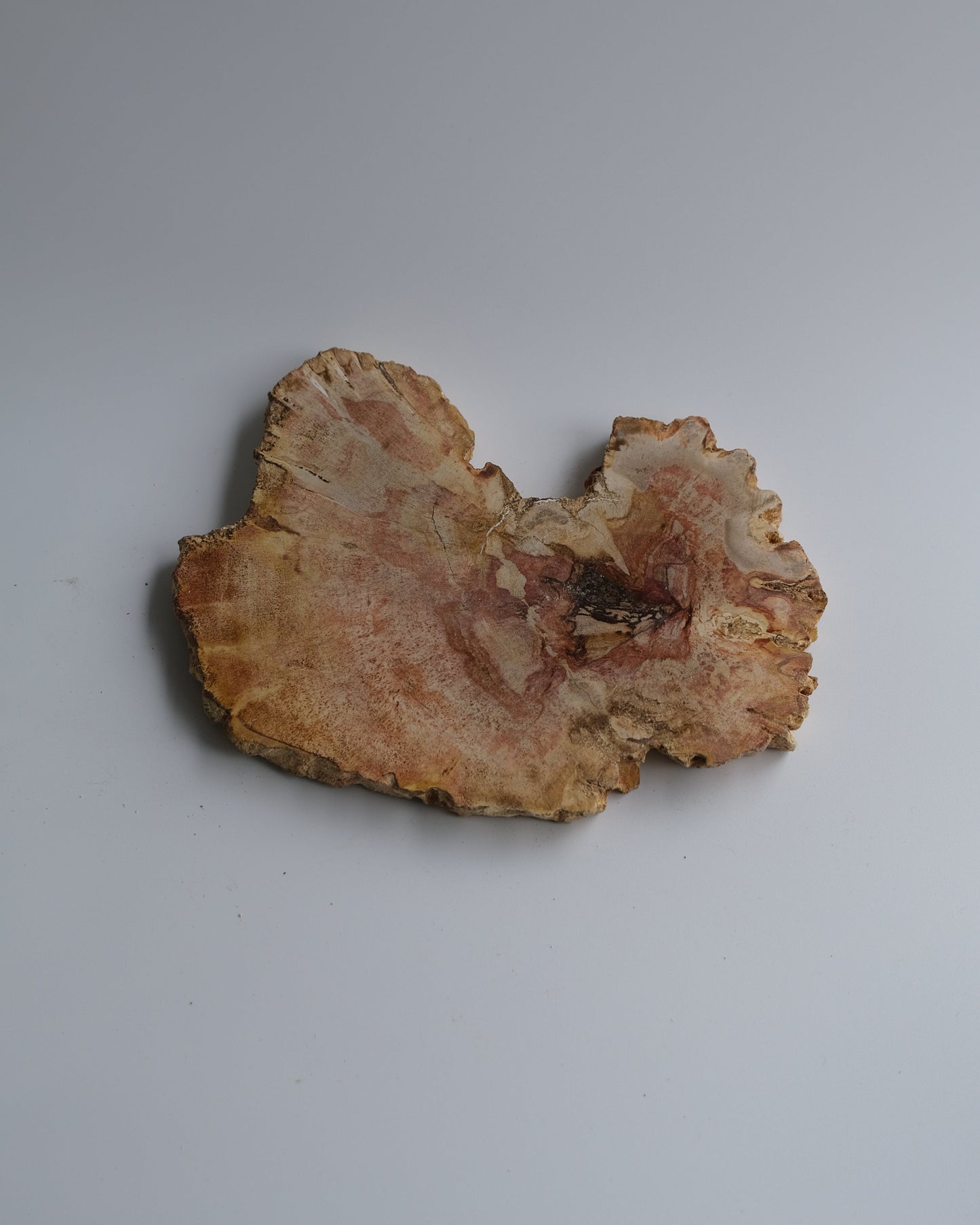 Wood Plate Small #013