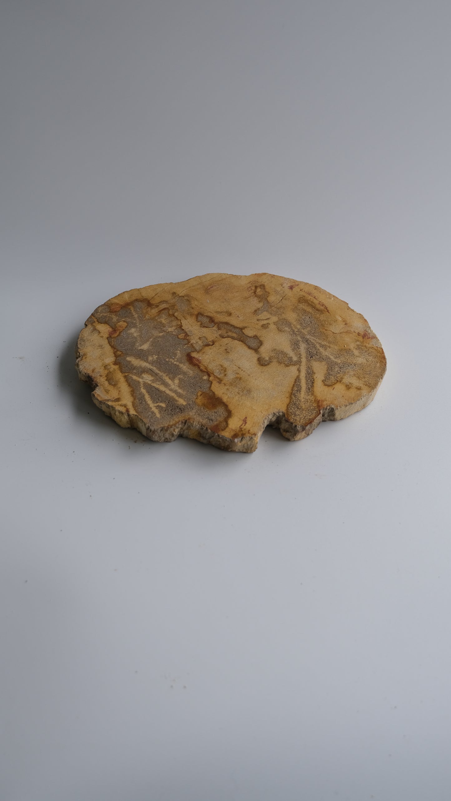 Wood Plate Small #015