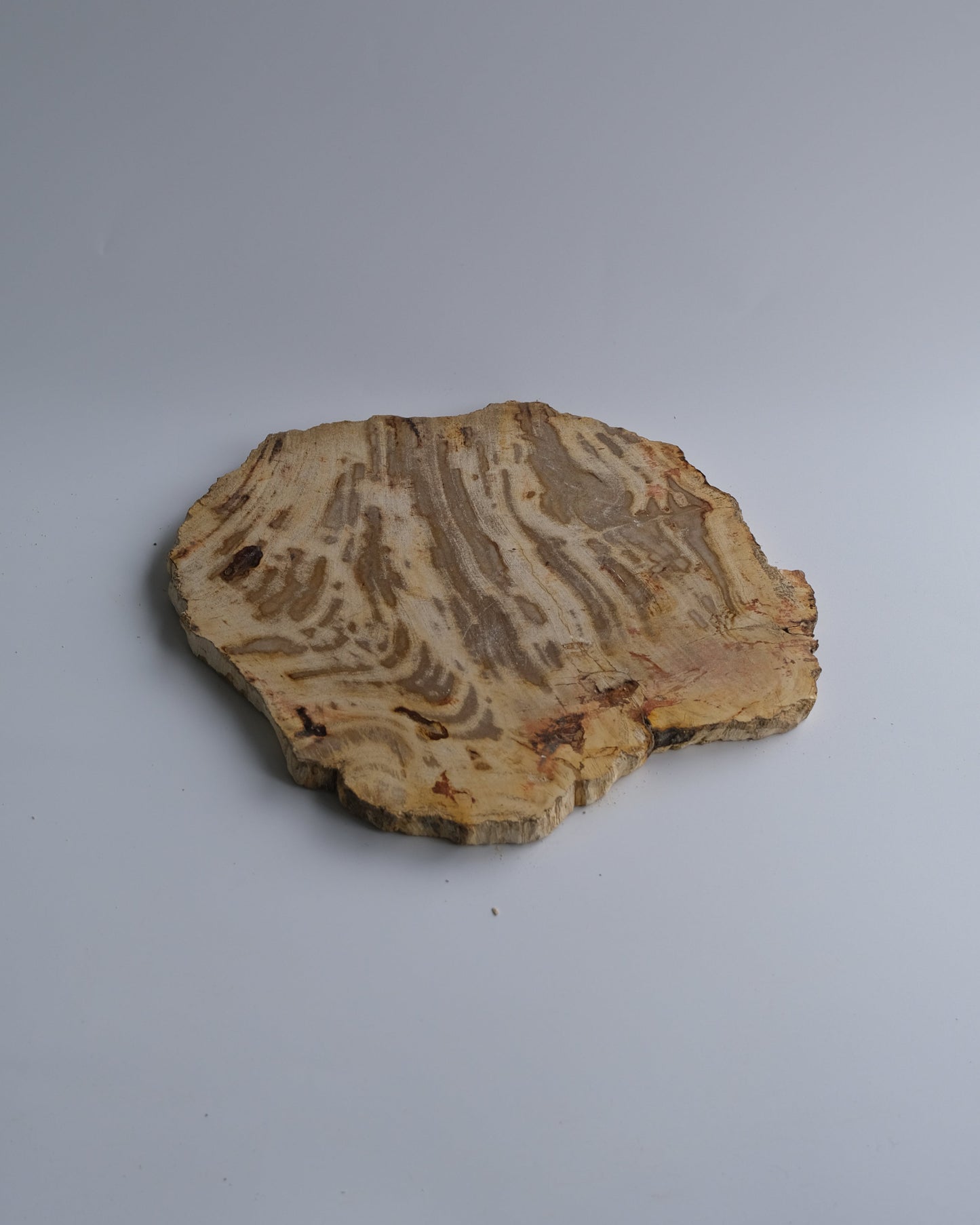 Wood Plate Medium #014