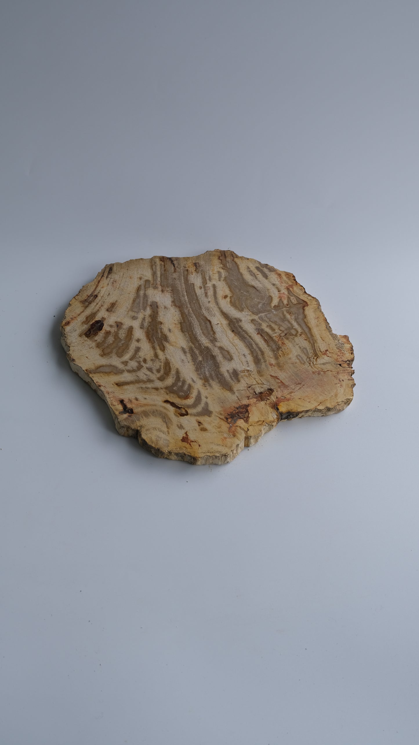 Wood Plate Medium #014