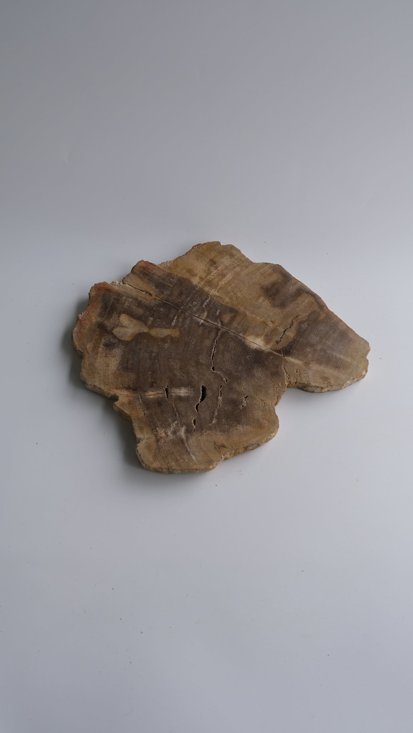Wood Plate Medium #017