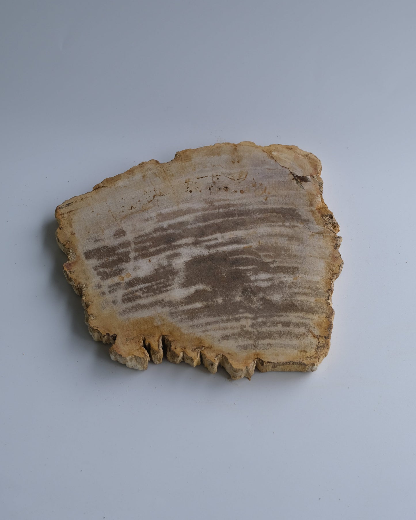Wood Plate Medium #016