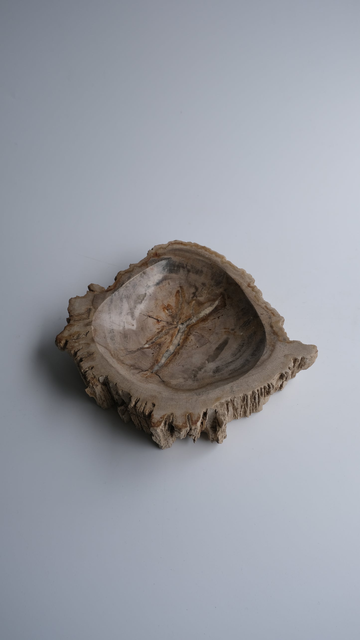 Accessory Tray #135