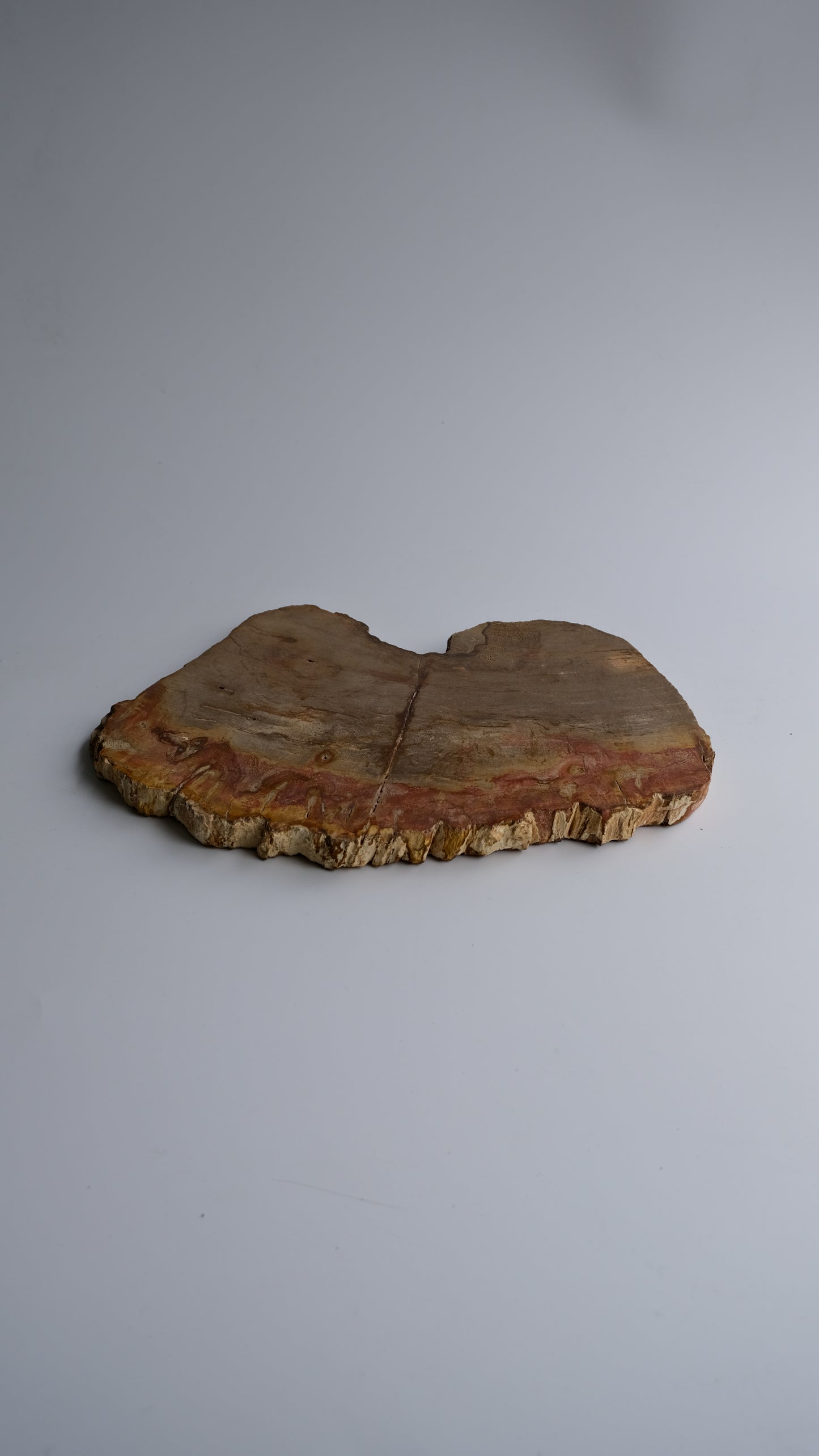 Wood Plate #002