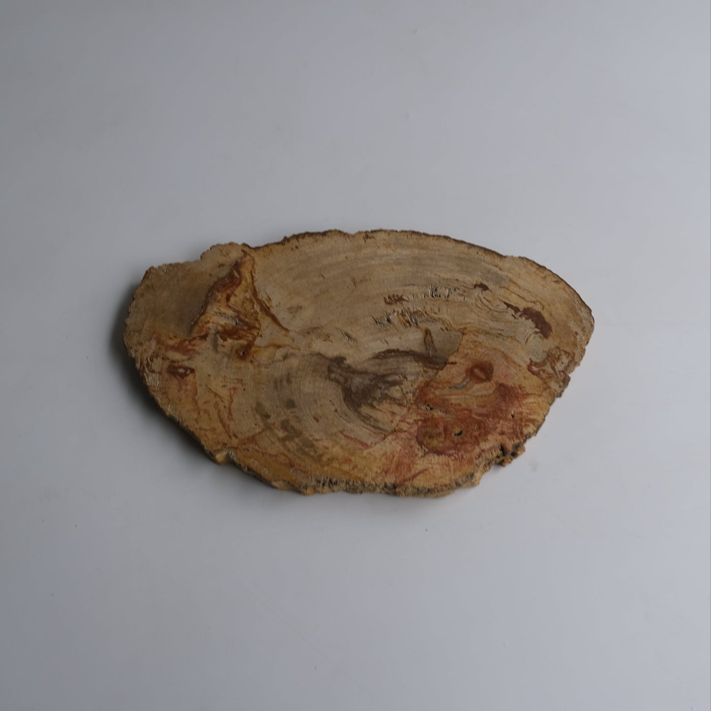 Wood Plate Medium #013