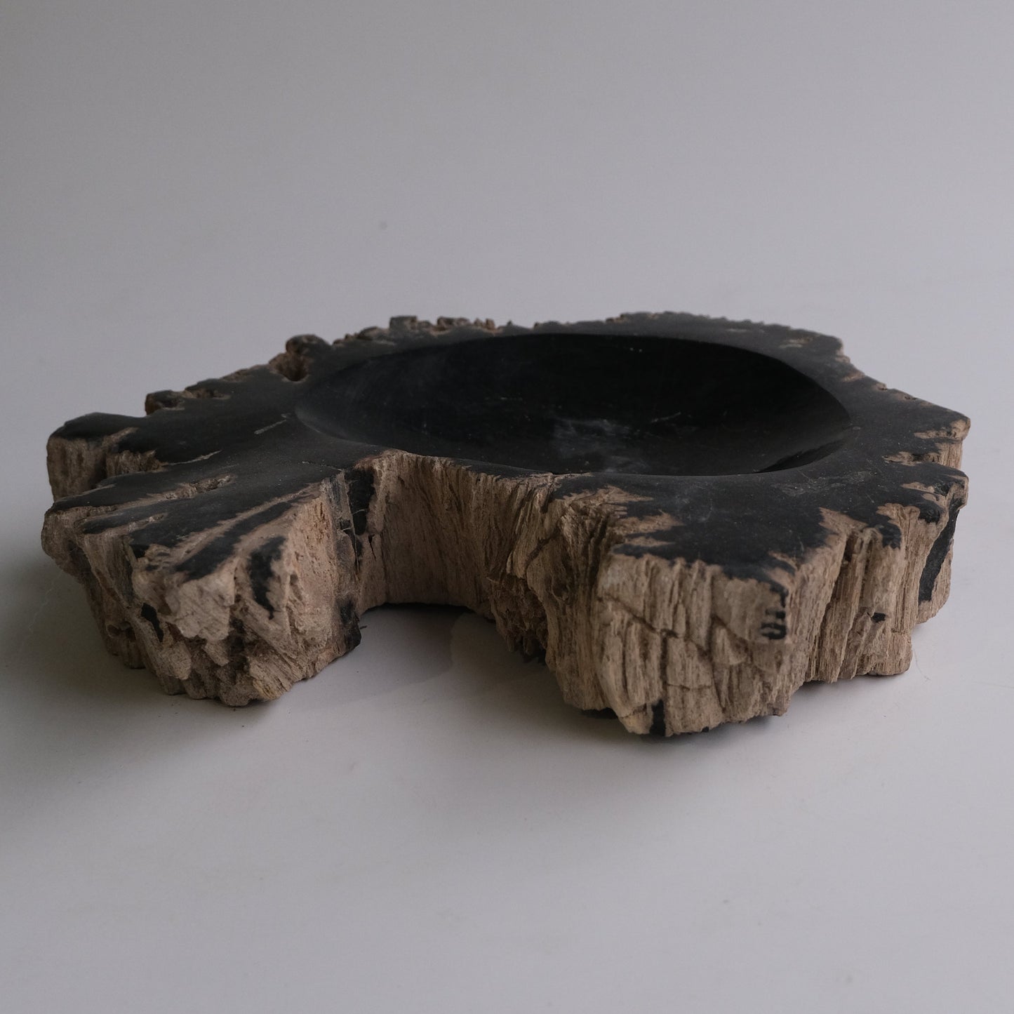 Accessory Tray #117