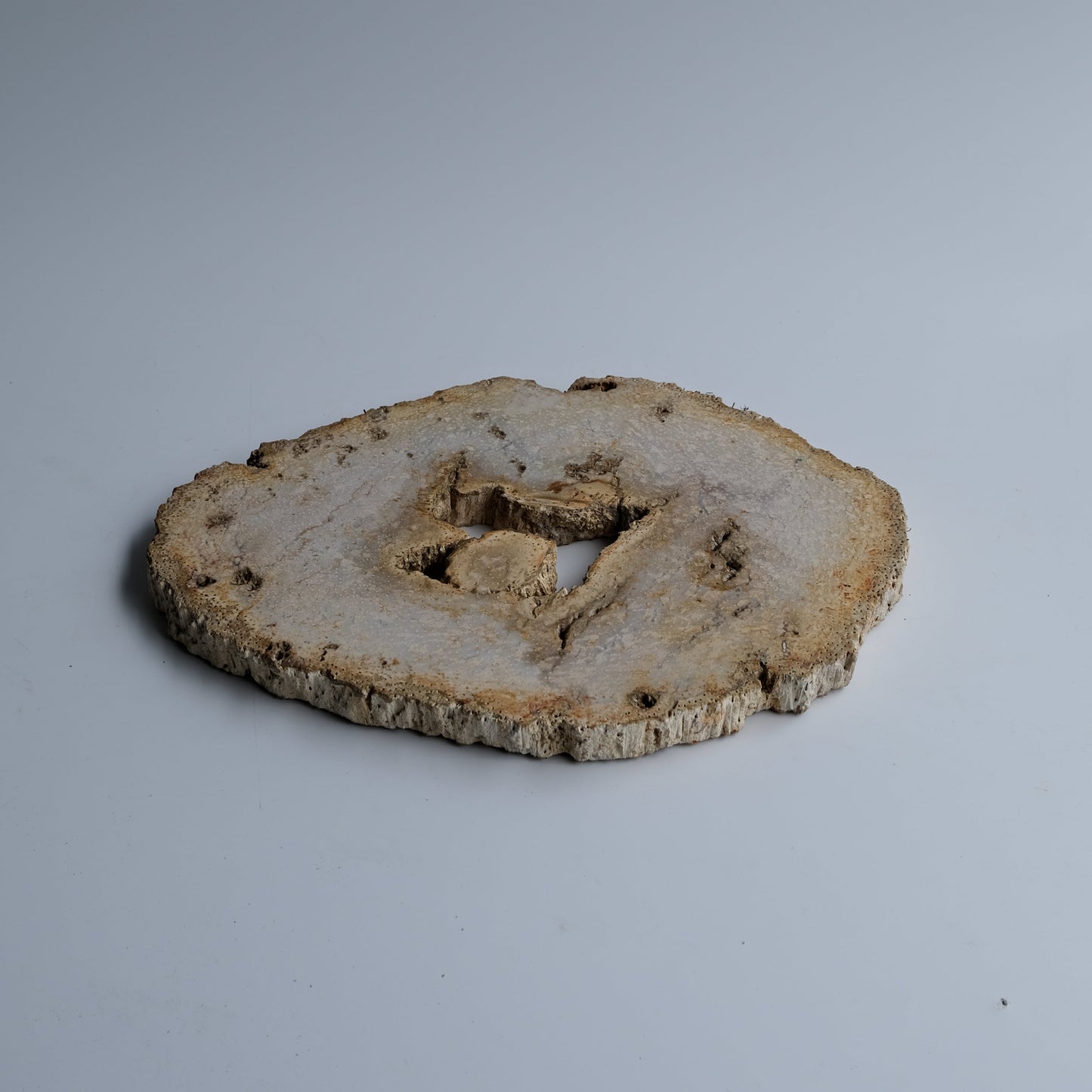 Wood Plate #027