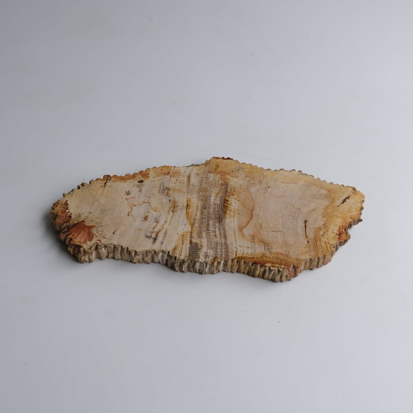 Wood Plate Medium #011