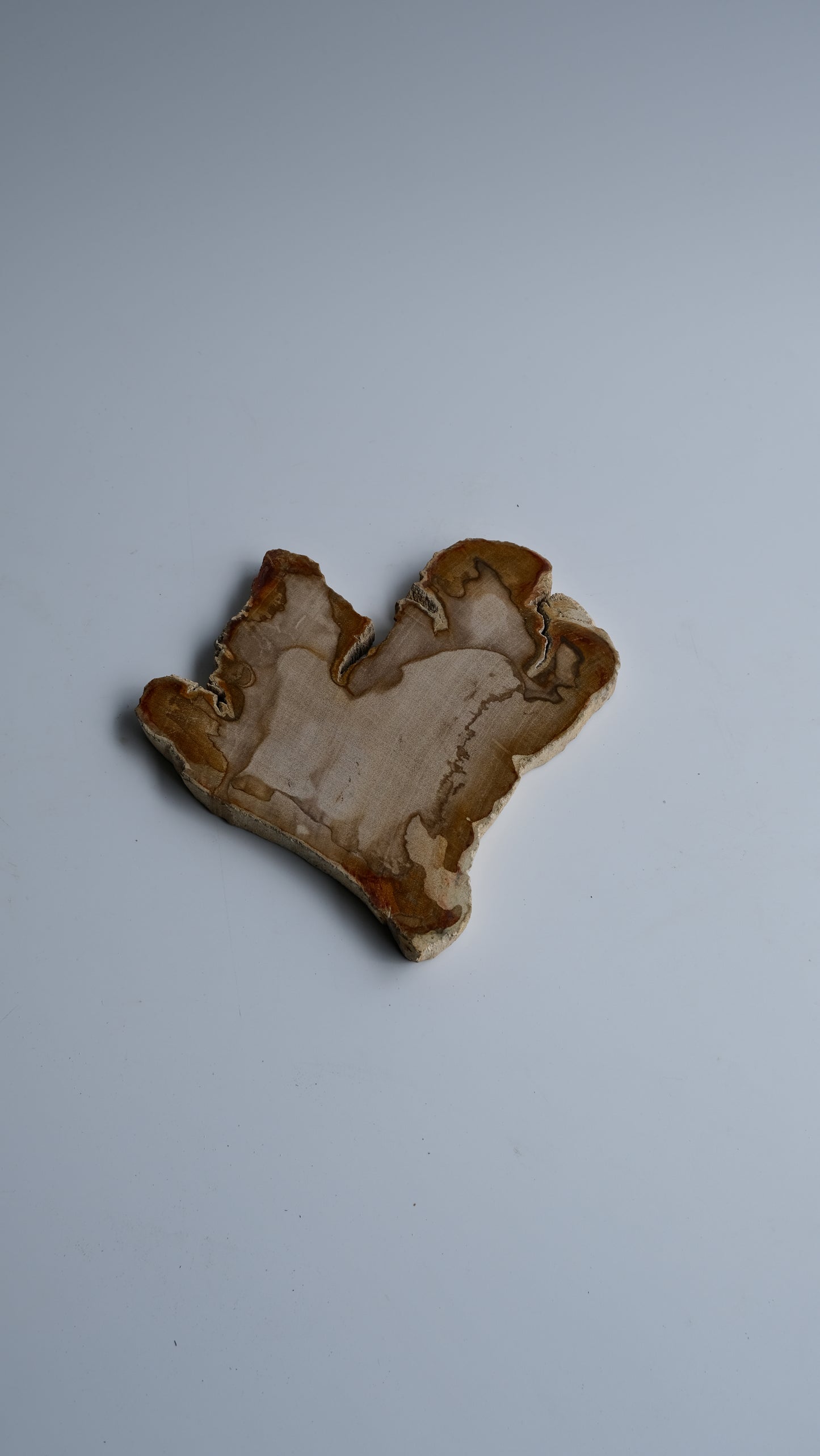 Wood Plate Small #004