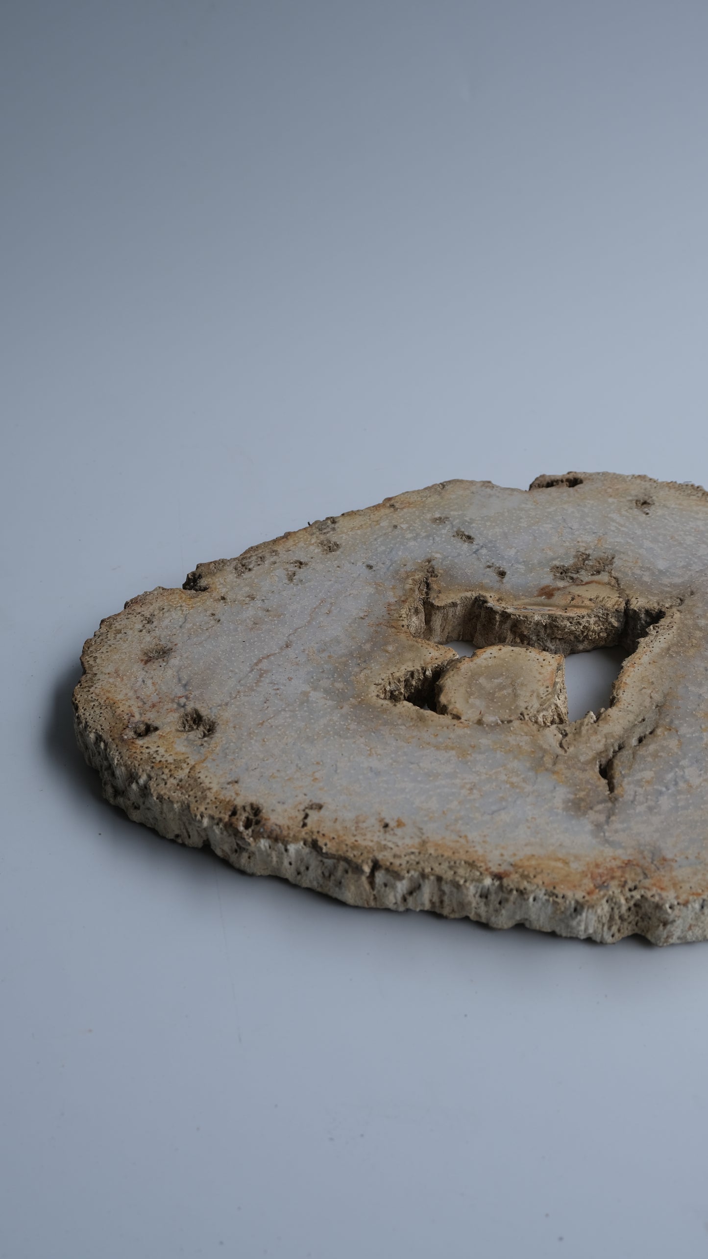 Wood Plate #027
