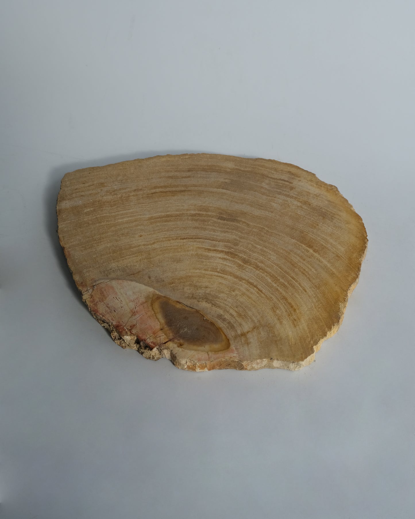 Wood Plate #019