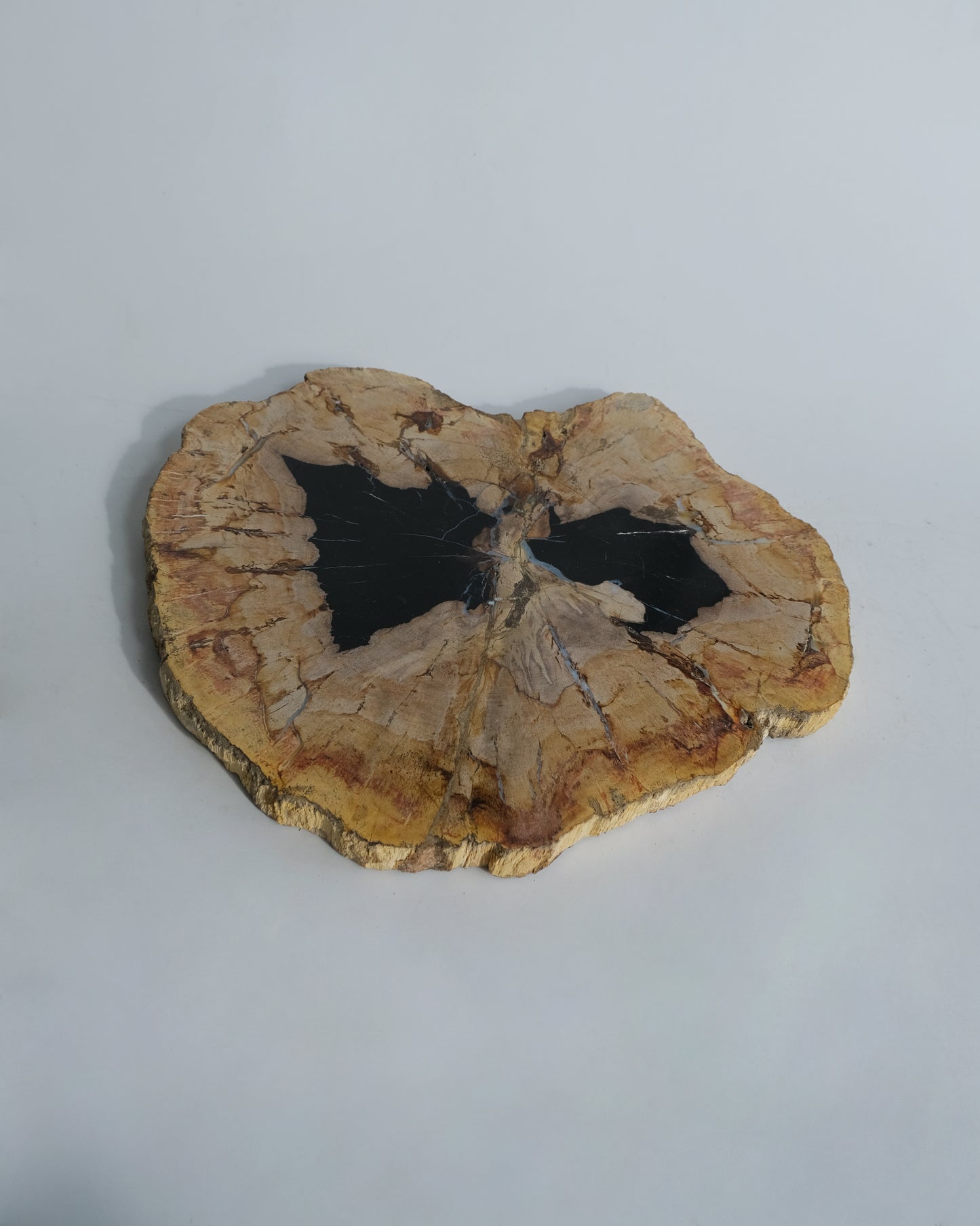 Wood Plate #038