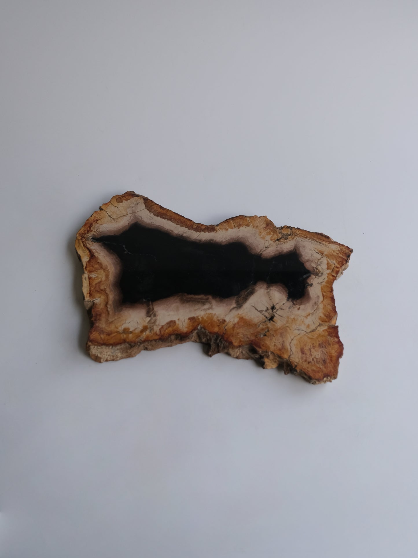 Wood Plate #031