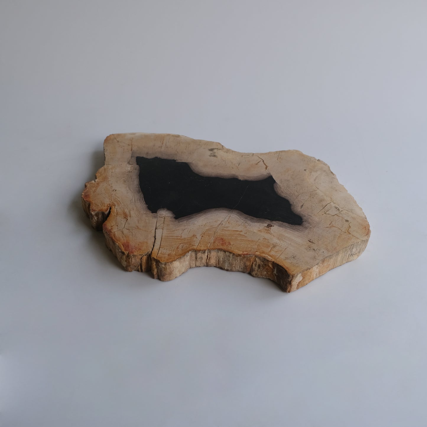 Wood Plate #032