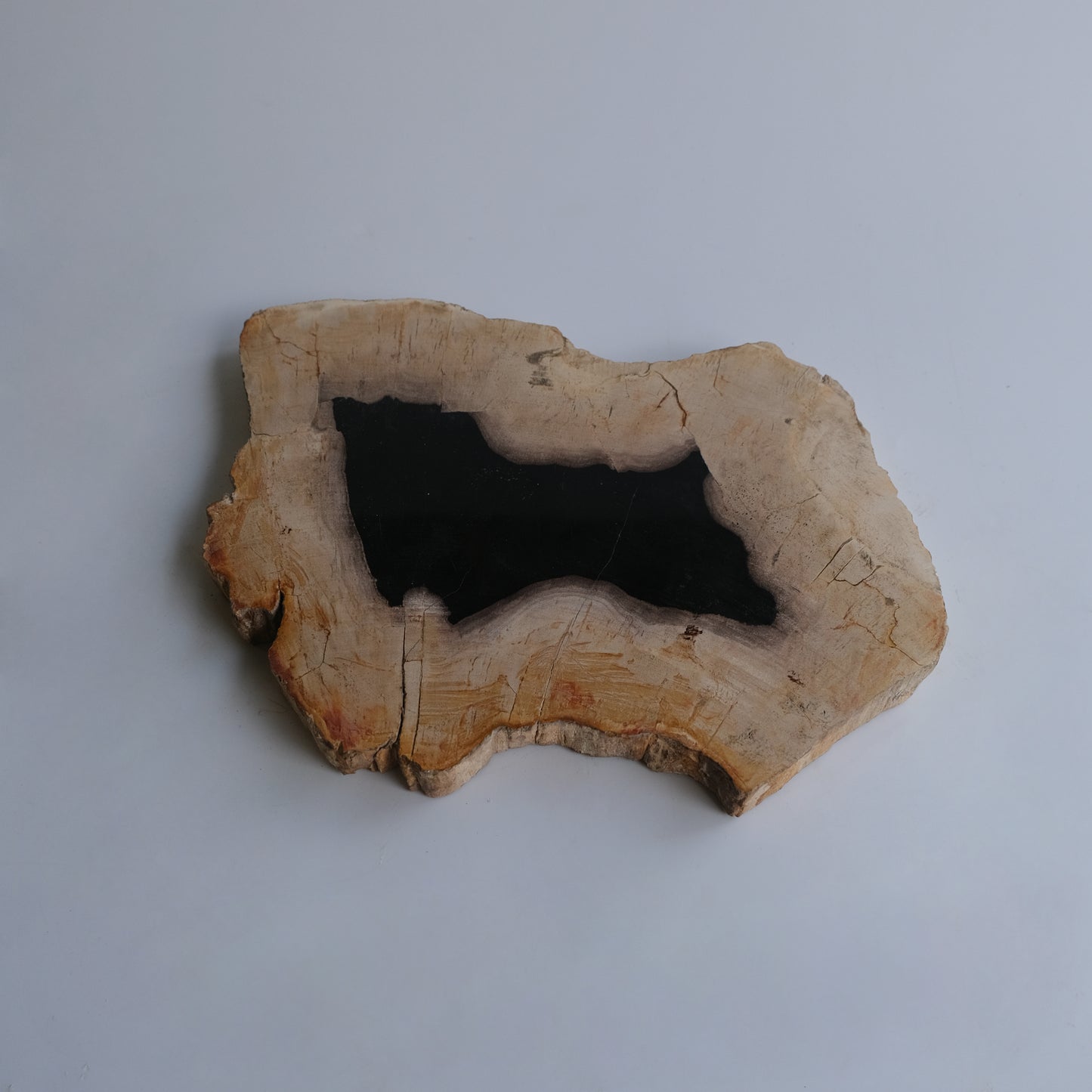 Wood Plate #032