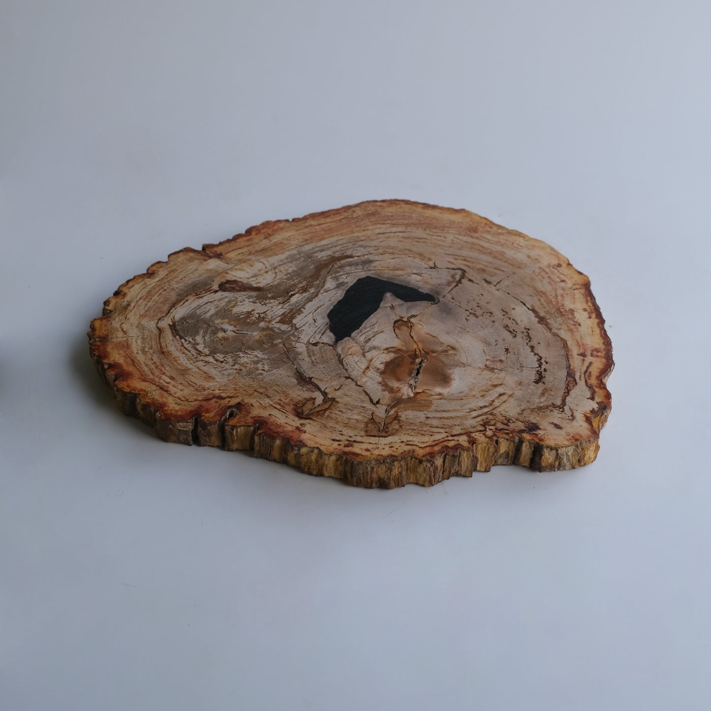 Wood Plate #033