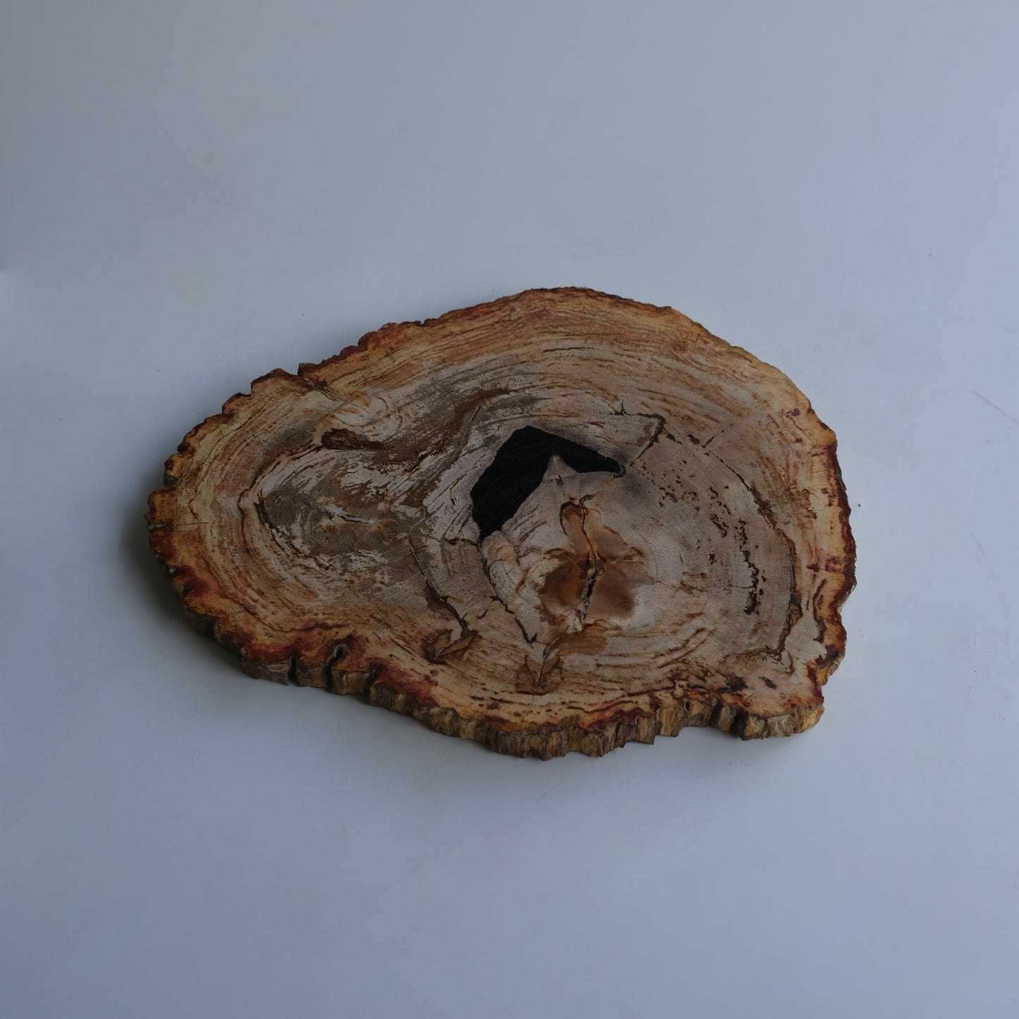 Wood Plate #033
