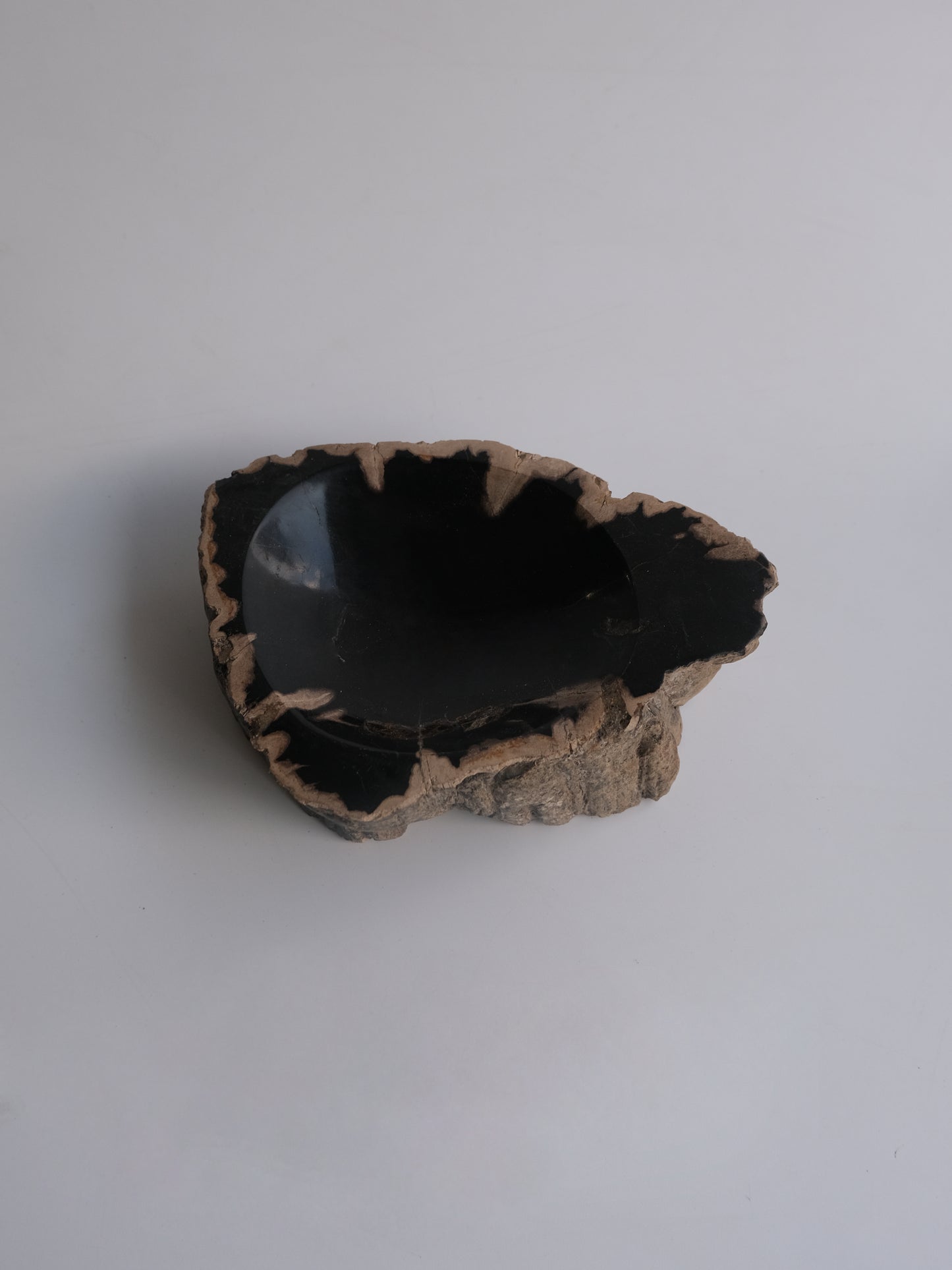 Accessory Tray #026