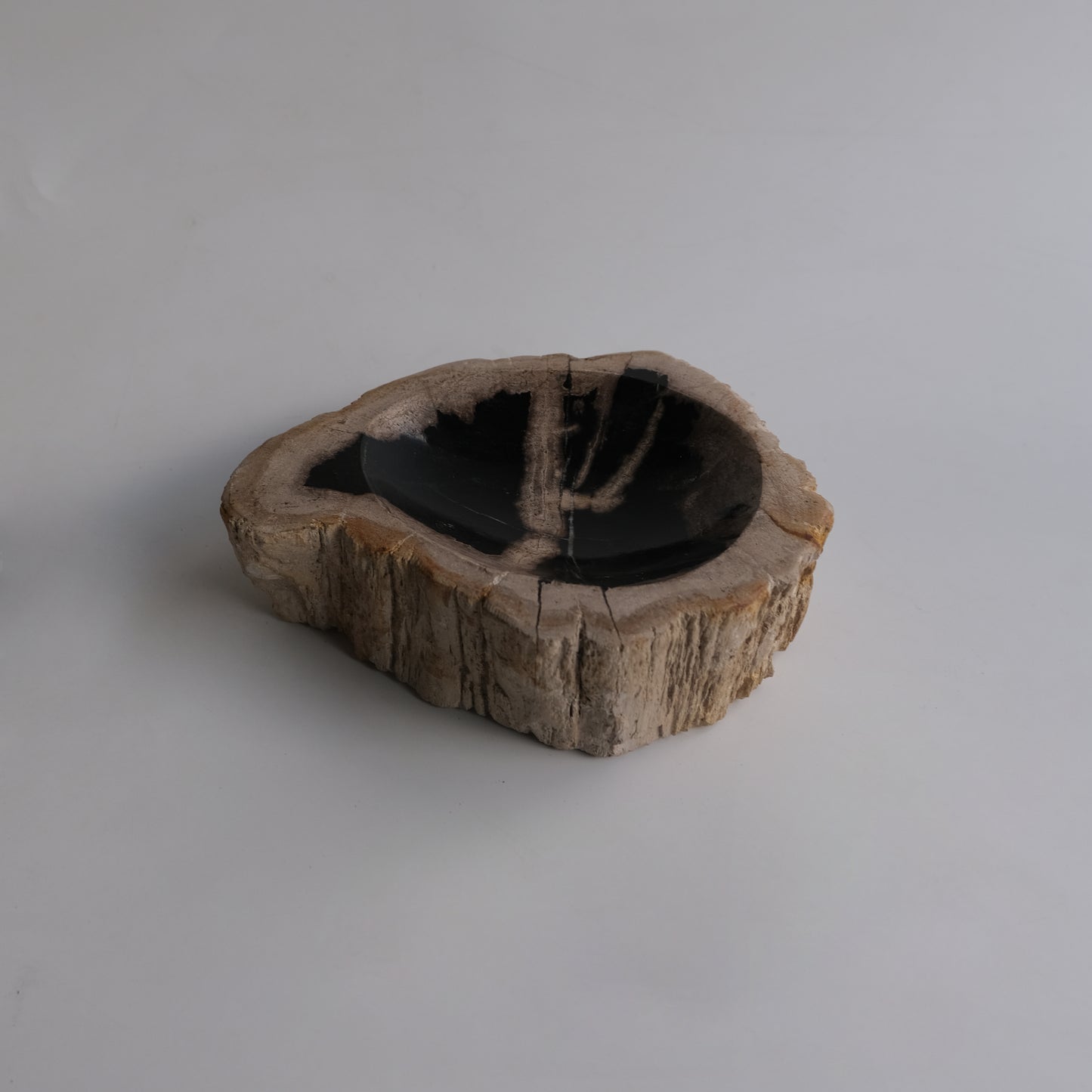 Accessory Tray #019