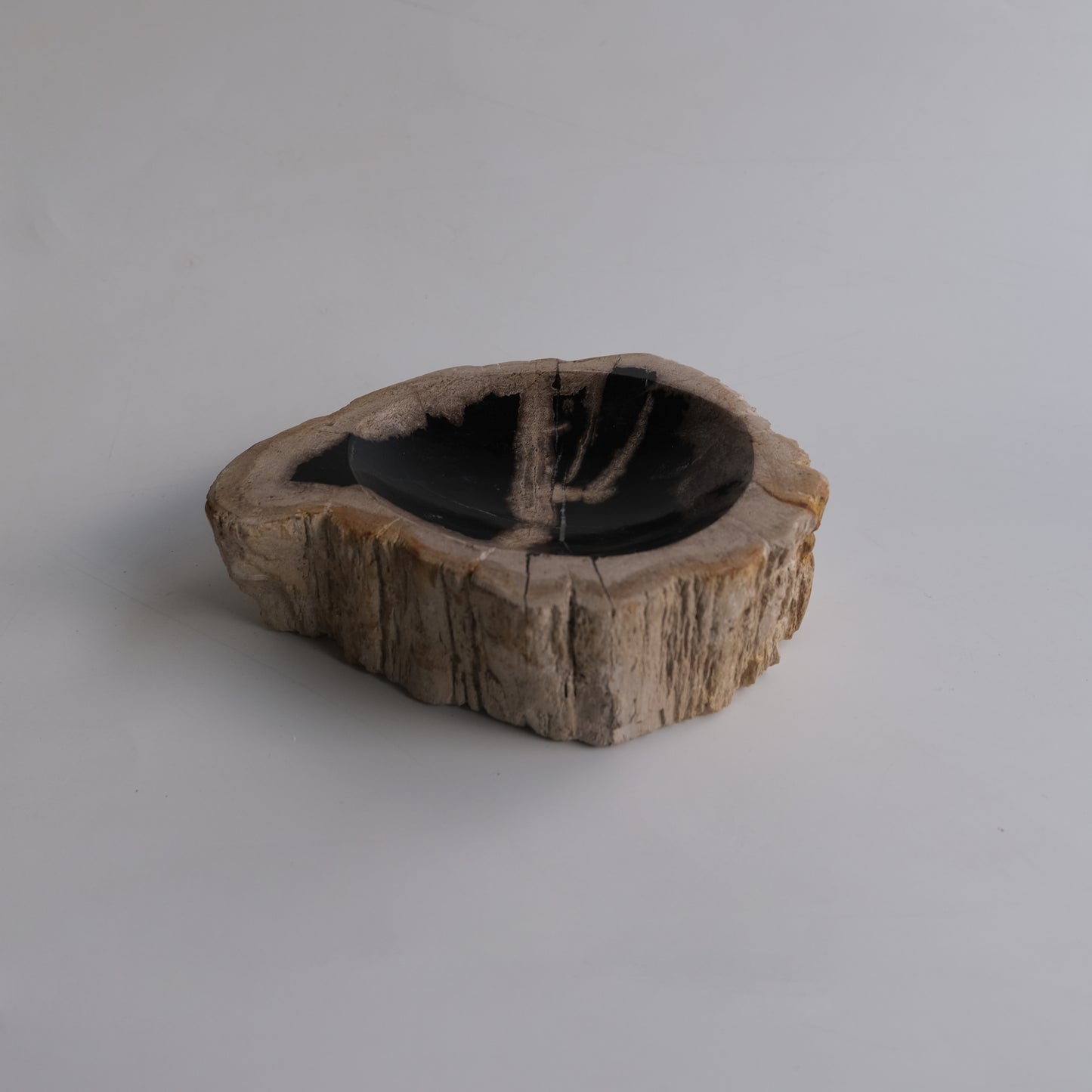 Accessory Tray #019