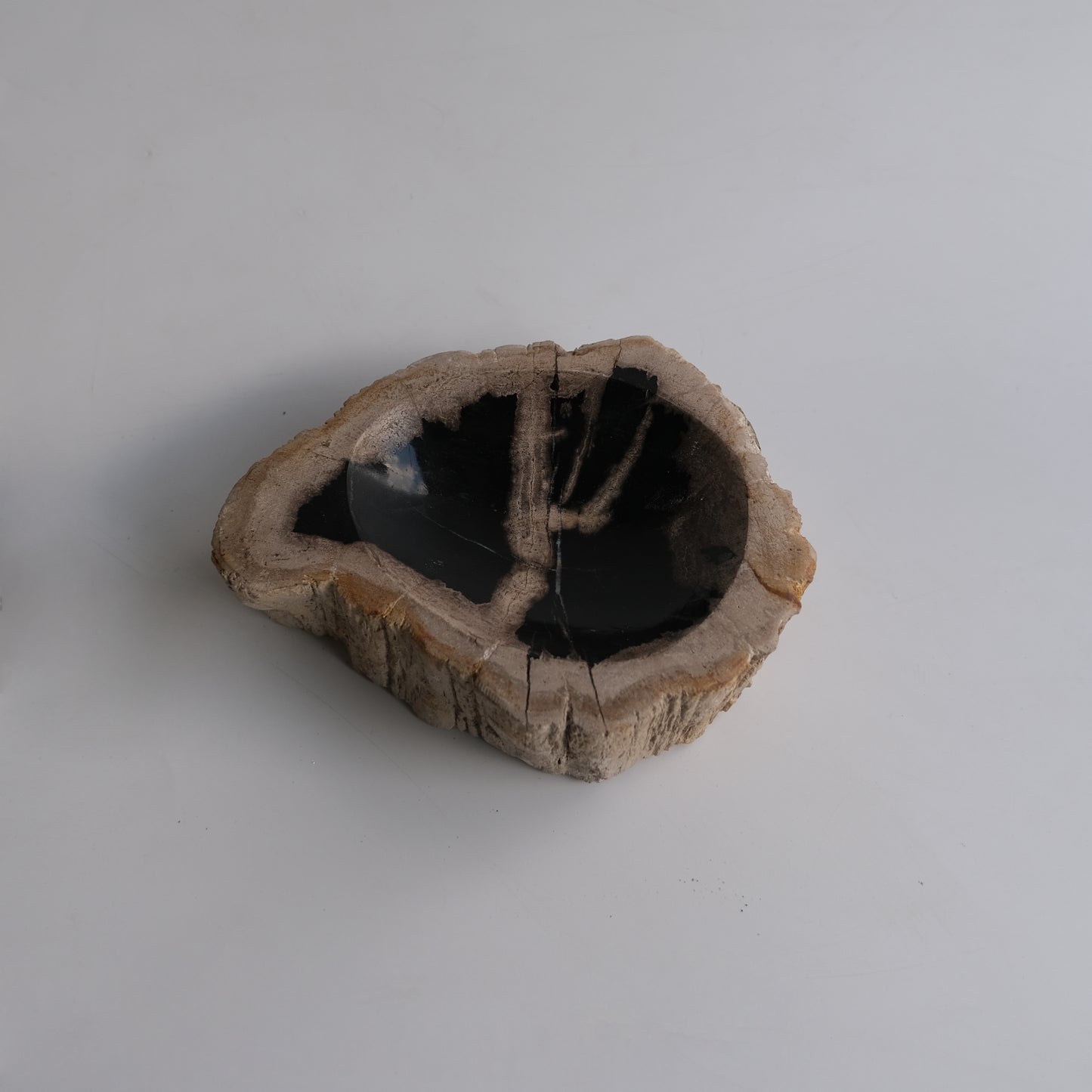 Accessory Tray #019