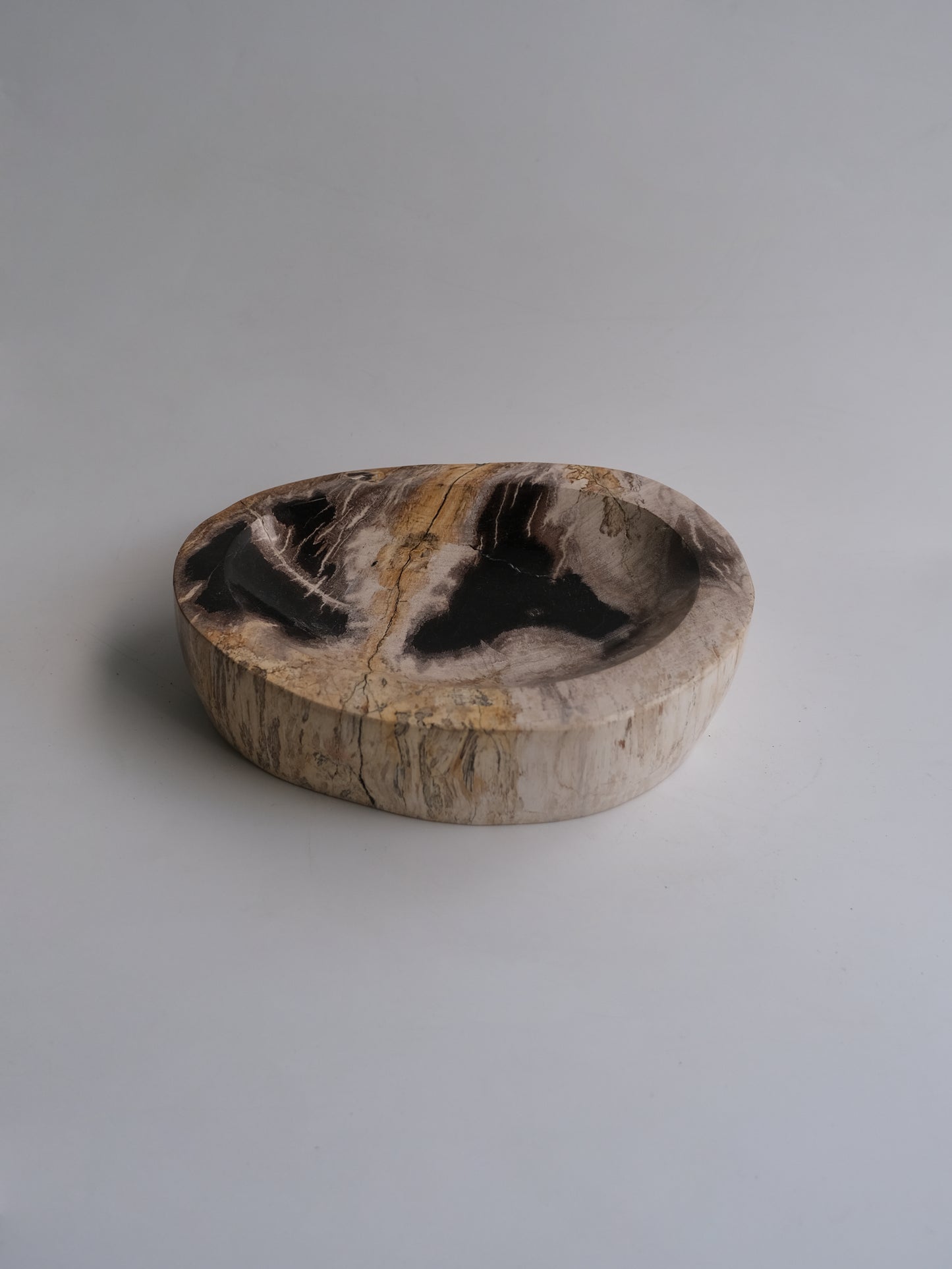Accessory Tray #006