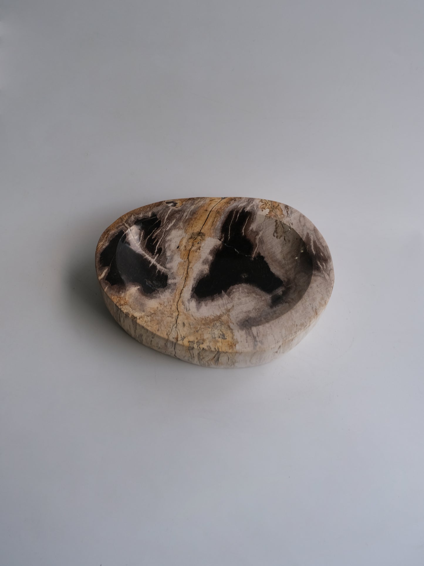 Accessory Tray #006