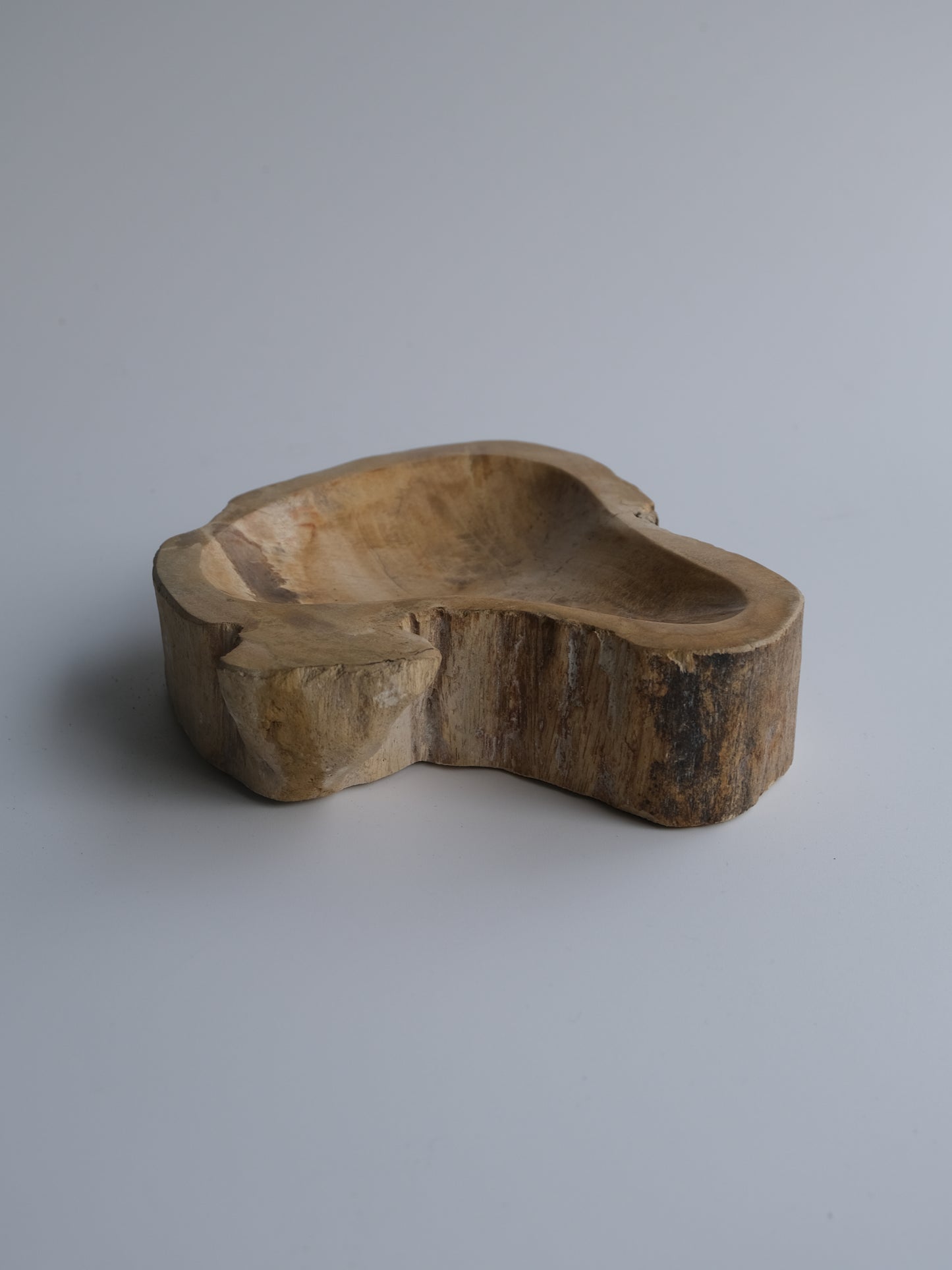 Accessory Tray #015