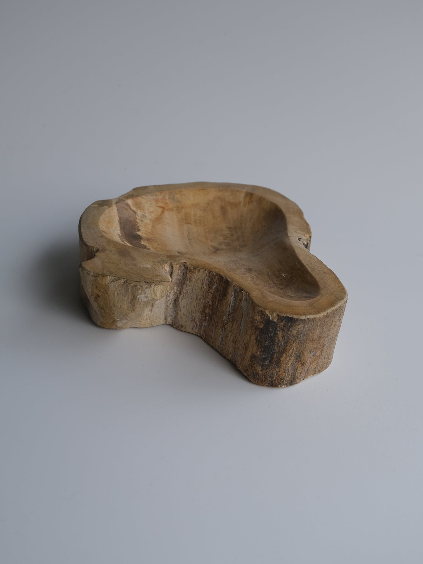 Accessory Tray #015