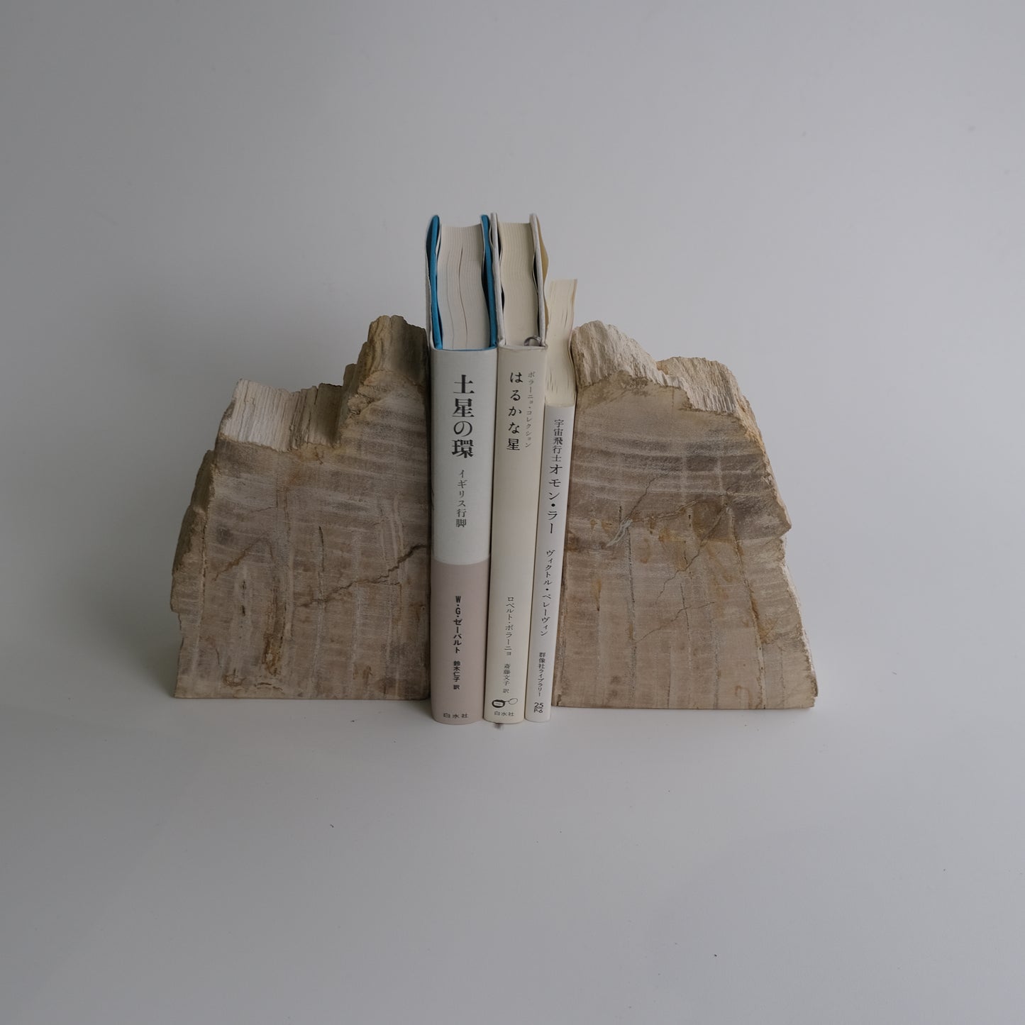 Book End #113